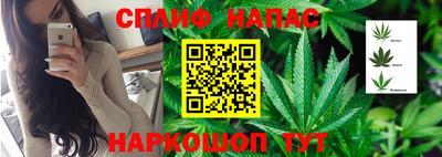 дурь Северобайкальск