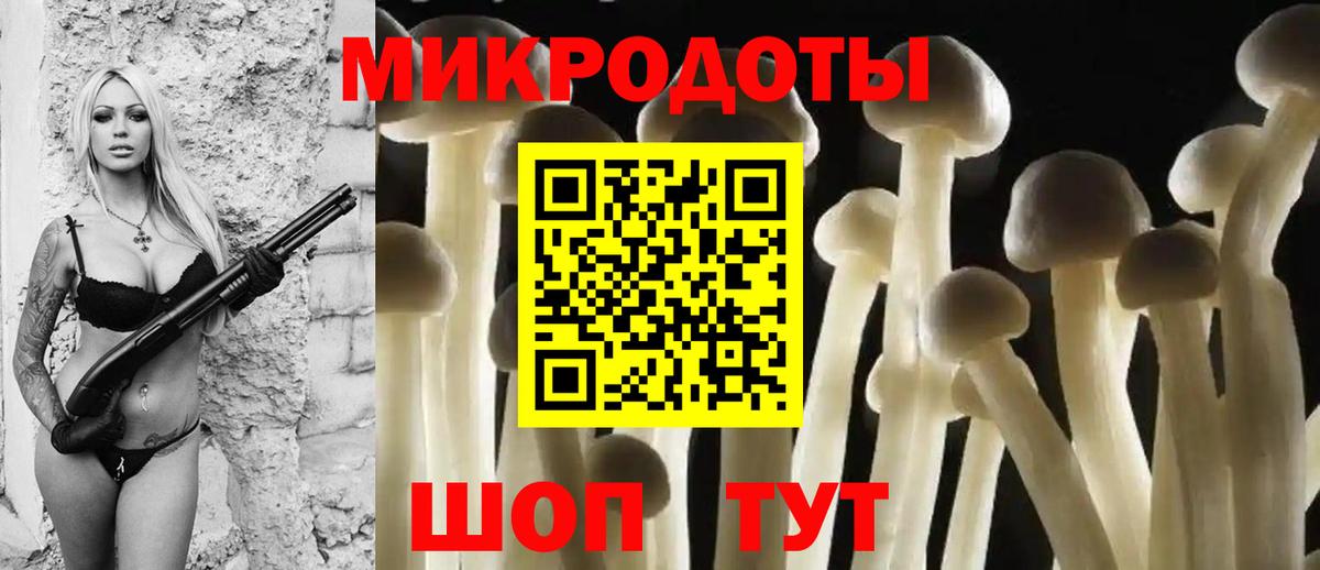 Ртищево  Псилоцибиновые грибы прущие грибы  Вход с VPN 